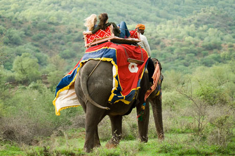 Elephant Safari Tour Corbett National Park