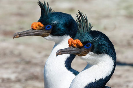 Marine National Park