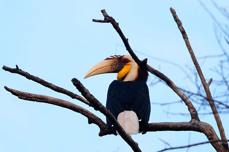 Nameri National Park