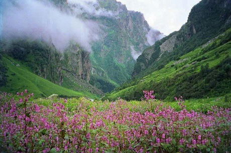 Nanda Devi National Park