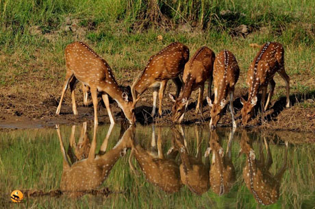 Silent Valley National Park