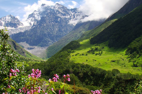 Valley of Flowers National Park