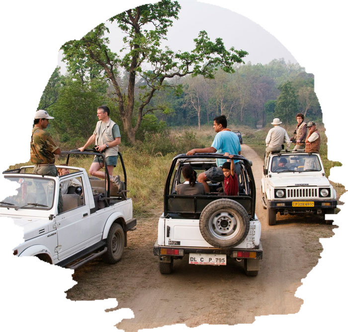 jeep safari