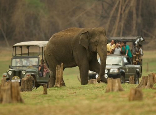 safari at nagarhole national park