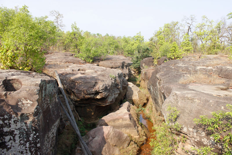 Bandhavgarh National Park