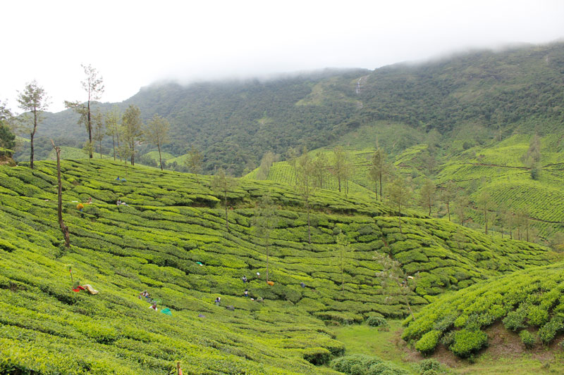 Munnar