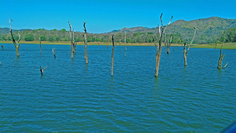 Periyar Lake