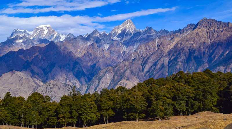 auli kausani