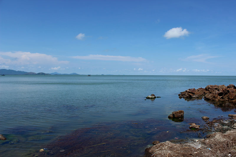 Chilika lake birding