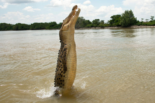 Nagzira Wildlife Sanctuary