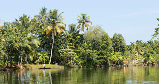 Kerala backwater