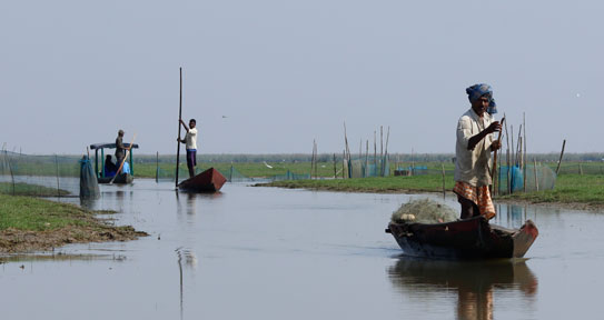 Mangalajodi Boat