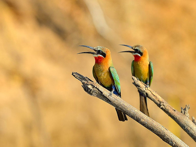 Nameri National Park