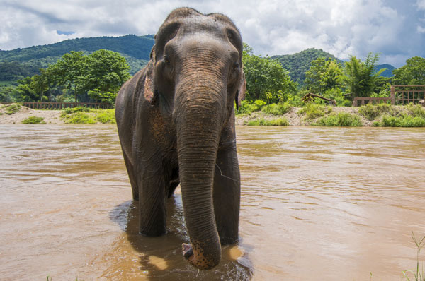 Kerala Wildlife Tour