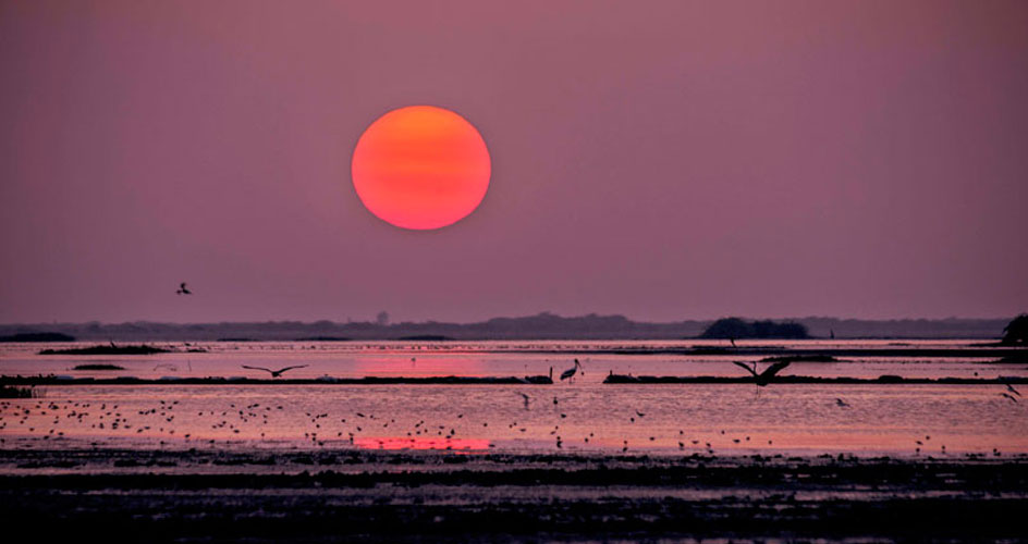 sunrise at runn of kutch