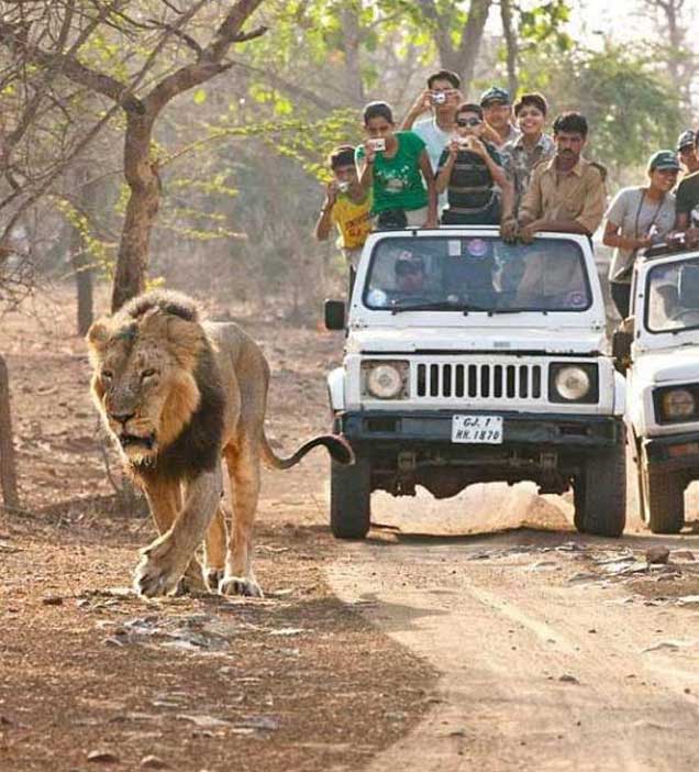 Nagarhole National Park 9