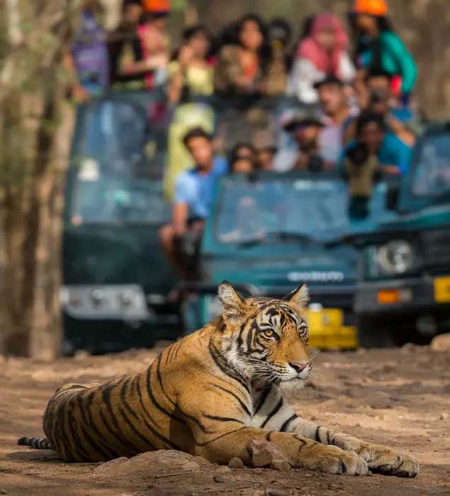 Nagarhole National Park 8